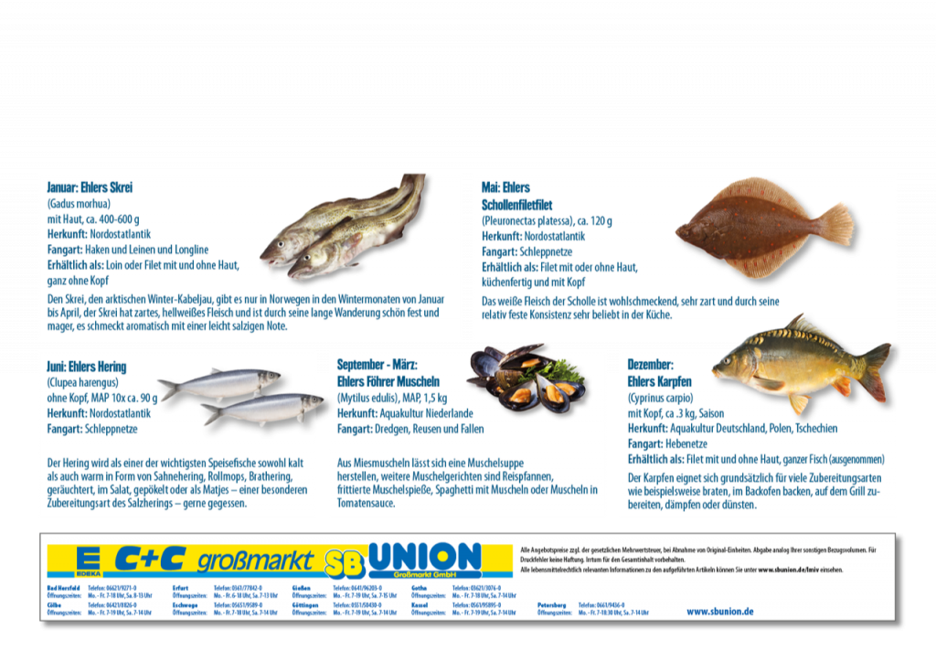 Frischfisch Fischkunde Folder Jahreszeiten Empfehlungen