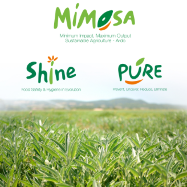 Ardo Teaserbild Mimosa Shine und Pure